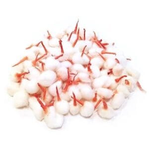 Puja Batti Thick Cotton Wicks | Premium Cotton Jyot Batti for Diya & Daily Puja (3pcs)
